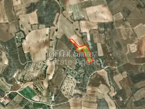 Land, Agricultural Land, Nicosia, Meniko, 5,686m² - Main Photo