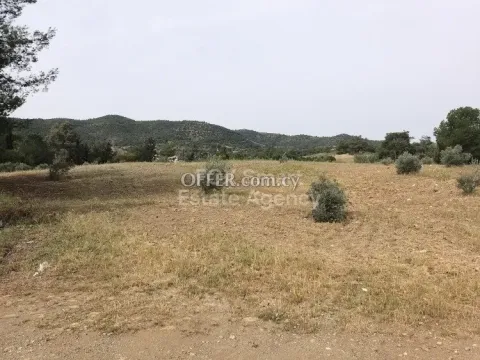 Land, Agricultural Land, Larnaca, Mosfiloti, 2,630m² - Main Photo