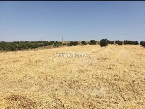 Land, Agricultural Land, Nicosia, Alampra, 13,713m² - Main Photo