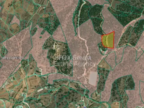 Land, Agricultural Land, Nicosia, Agios Epifanios Oreinis, 11,037m² - Main Photo