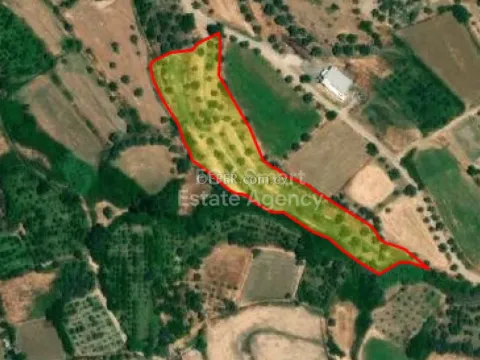 Land, Agricultural Land, Nicosia, Evrychou, 8,362m² - Main Photo