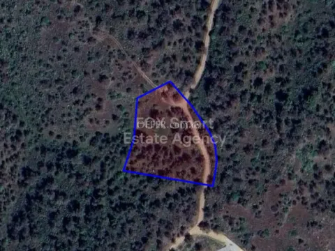Land, Agricultural Land, Nicosia, Kapedes, 24,968m² - Main Photo