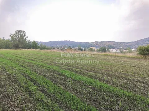 Land, Plot, Nicosia, Sia, 7,300m² - Main Photo