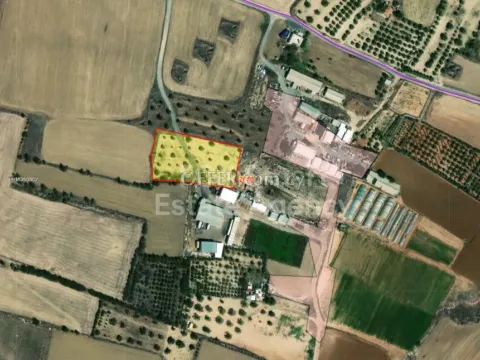 Land, Agricultural Land, Nicosia, Psimolofou, 5,366m² - Main Photo