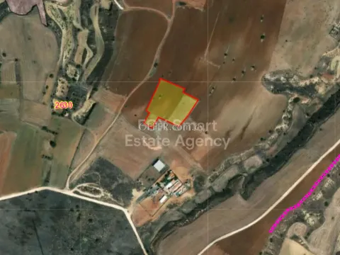 Land, Agricultural Land, Nicosia, Psimolofou, 5,956m² - Main Photo