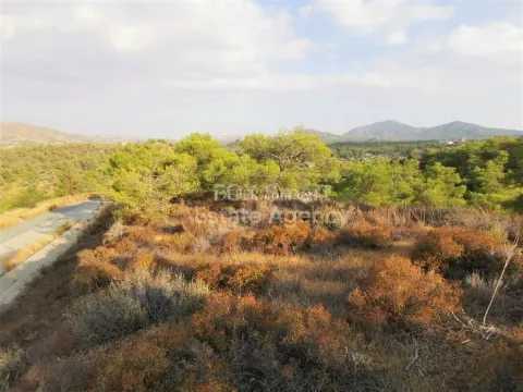 Land, Plot, Larnaca, Kornos, 1,670m² - Main Photo