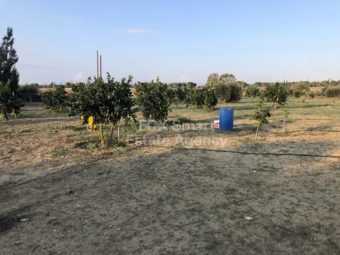 Land, Agricultural Land, Nicosia, Palaiometocho, 9,370m² - Main Photo