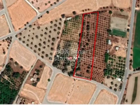 Land, Plot, Nicosia, Dali, 5,552m² - Main Photo