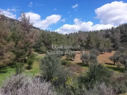 Land, Agricultural Land, Nicosia, Lythrodontas, 22,624m² - Main Photo