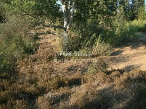 Land, Agricultural Land, Nicosia, Mitsero, 5,017m² - Main Photo