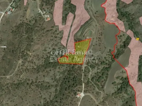Land, Agricultural Land, Nicosia, Kampia, 11,706m² - Main Photo