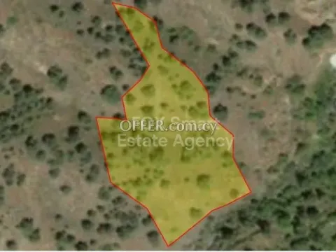 Land, Plot, Nicosia, Agios Theodoros Soleas, 6,021m² - Main Photo