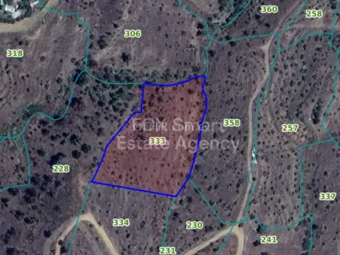 Land, Agricultural Land, Nicosia, Platanistasa, 8,027m² - Main Photo