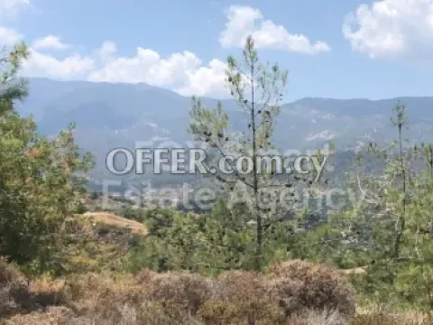 Land, Agricultural Land, Nicosia, Evrychou, 10,093m² - Main Photo