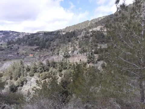 Land, Field, Limassol, Prodromos, 14,931m² - Main Photo