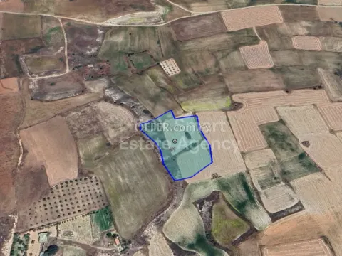 Land, Field, Nicosia, Palaiometocho, 7,098m² - Main Photo