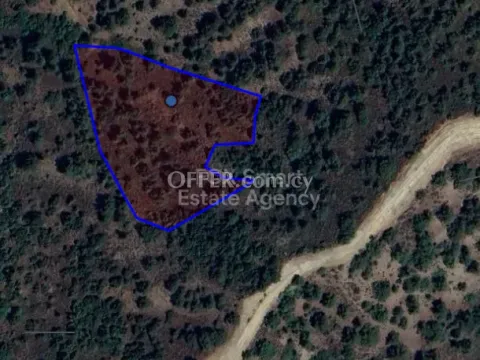 Land, Agricultural Land, Nicosia, Galata, 8,362m² - Main Photo