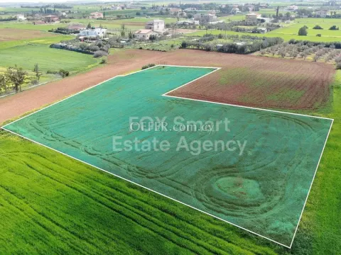 Land, Field, Nicosia, Agioi Trimithias, 5,070m² - Main Photo