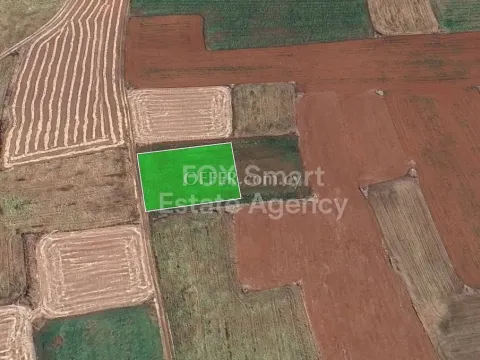 Land, Field, Nicosia, Agioi Trimithias, 1,629m² - Main Photo