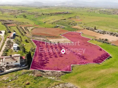 Land, Field, Nicosia, Palaiometocho, 9,786m² - Main Photo