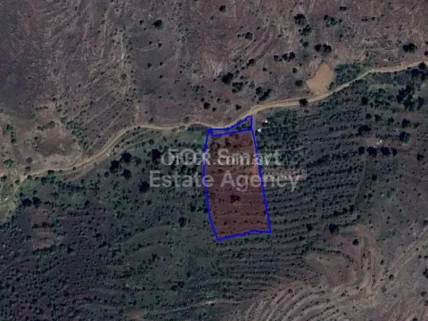 Land, Agricultural Land, Nicosia, Agios Epifanios Oreinis, 5,706m² - Main Photo