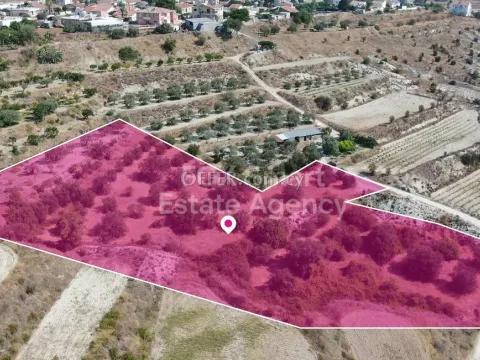 Land, Agricultural Land, Nicosia, Kampia, 6,355m² - Main Photo