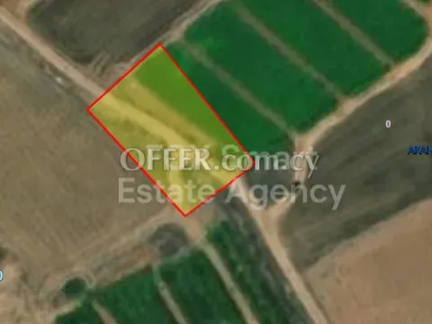 Land, Field, Nicosia, Akaki, 1,004m² - Main Photo