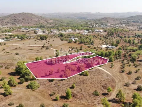Land, Agricultural Land, Nicosia, Sia, 11,372m² - Main Photo