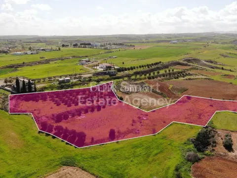 Land, Field, Nicosia, Palaiometocho, 9,786m² - Main Photo