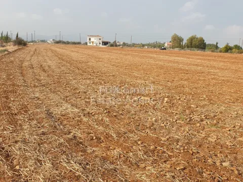 Land, Agricultural Land, Nicosia, Pera, 13,379m² - Main Photo