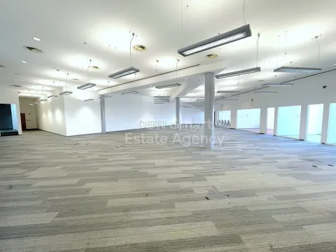Office, Standard Office, Nicosia, Strovolos - Main Photo
