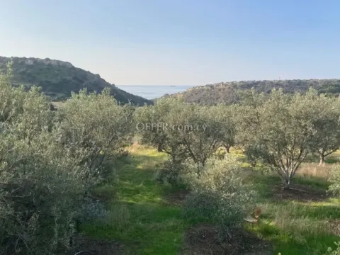 Field for sale in Agios Tychon, Limassol - Main Photo
