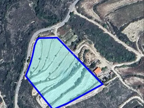 (Agricultural) in Agios Amvrosios, Limassol for Sale - Main Photo