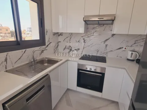 NEW TWO BEDROOM FULLY FURNISHED APARTMENT IN ZAKAKI - 4