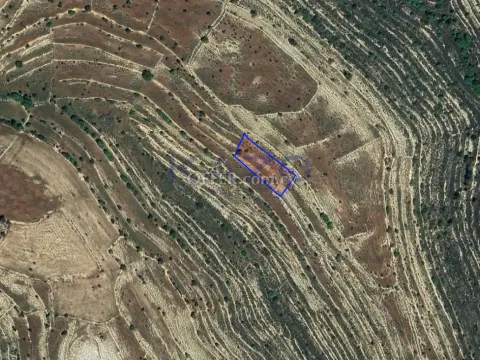 Large 1673m2 Field for Sale in Lofou Village - Main Photo