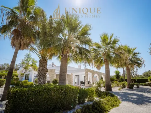 4-Bedroom Villa for Long Rent in Pegeia – Agios Georgios - Main Photo