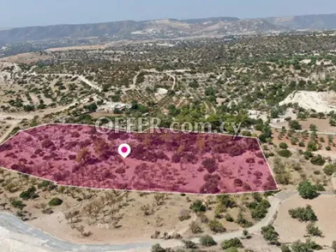 Agricultural Field for sale in Apesia, Limassol - Main Photo