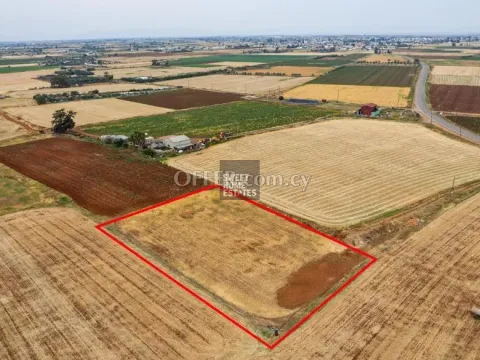 Agricultural Field in Avgorou - Main Photo