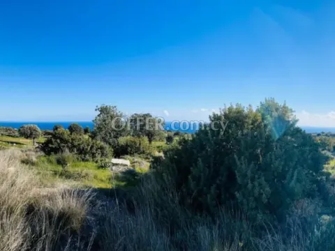 (Residential) in Pissouri, Limassol for Sale - 3
