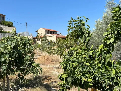 1-bedroom Semi-detached Villa 75 sqm in Dora - Main Photo