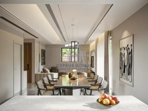 New Modern Villas For Sale in Paramytha Area - 4