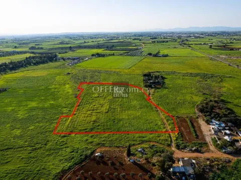 Shared Agricultural Field in Avgorou - 3