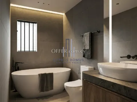 New Modern Villas For Sale in Paramytha Area - 3