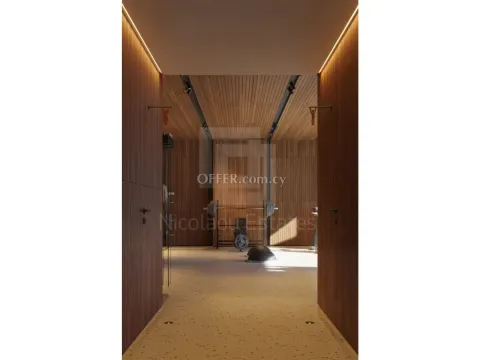 Modern two bedroom apartment in a gated complex Germasogia - 3