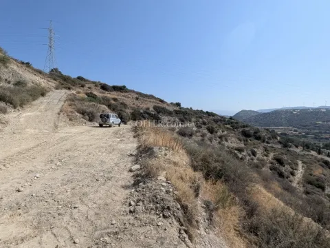 Land Parcel 29106 sm in Kouklia, Paphos - 5