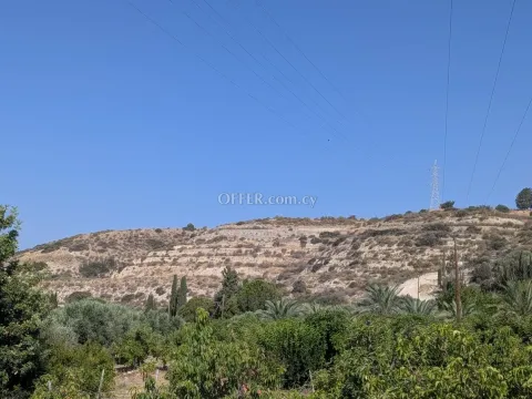 Land Parcel 29106 sm in Kouklia, Paphos - 3