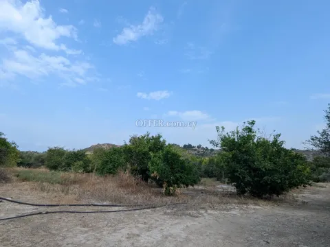 Land Parcel 3738 sm in Kouklia, Paphos - Main Photo