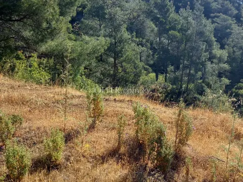 Building Plot for sale in Moniatis, Limassol - Main Photo