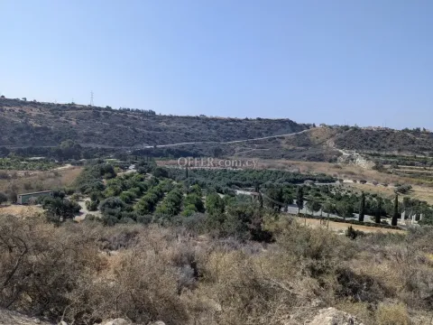 Land Parcel 29106 sm in Kouklia, Paphos - Main Photo