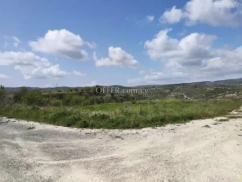 Field for sale in Pachna, Limassol - Main Photo